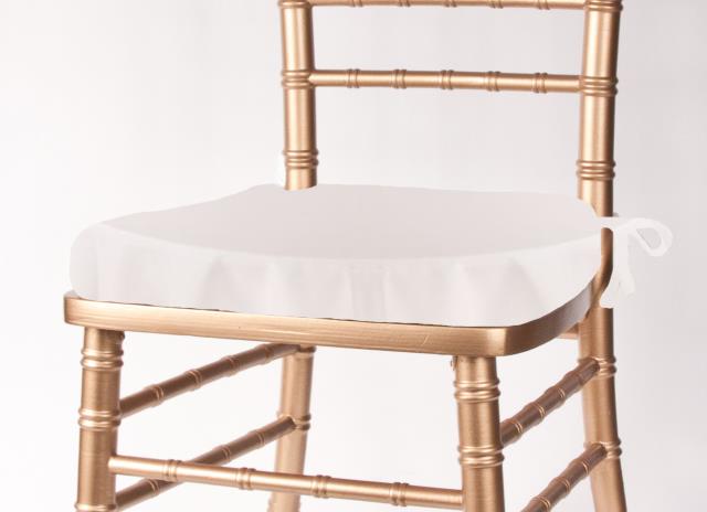 Rental store for CUSHIONS WHITE SATIN in Lexington KY